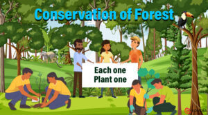 essay on forest conservation in hindi