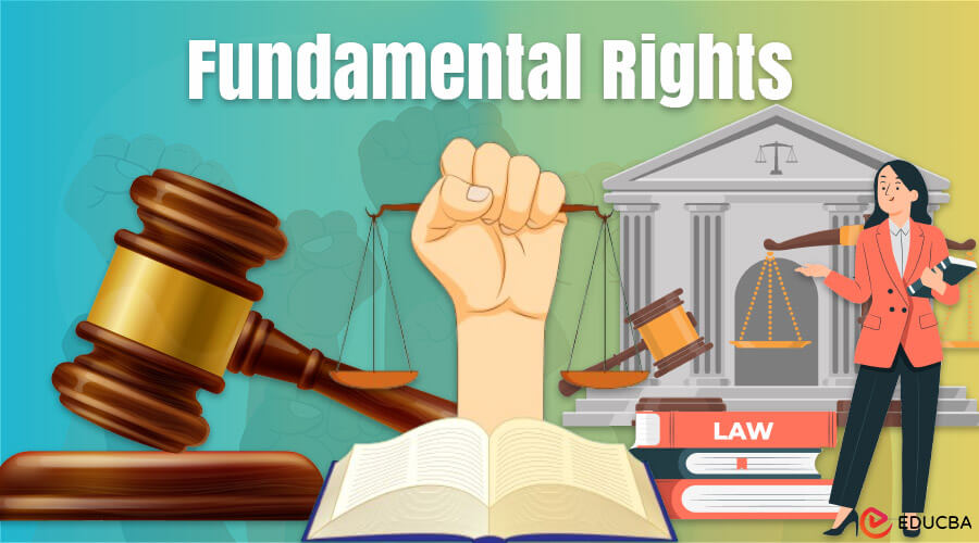Essay on Fundamental Rights