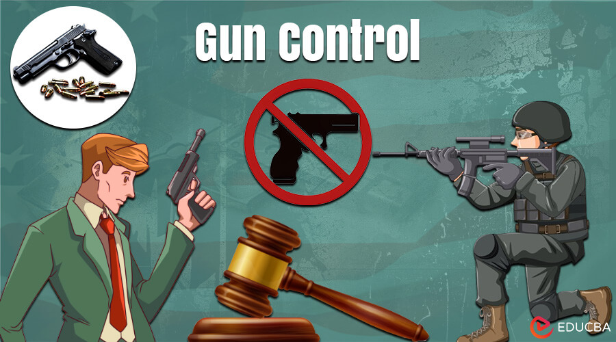 Essay on Gun Control