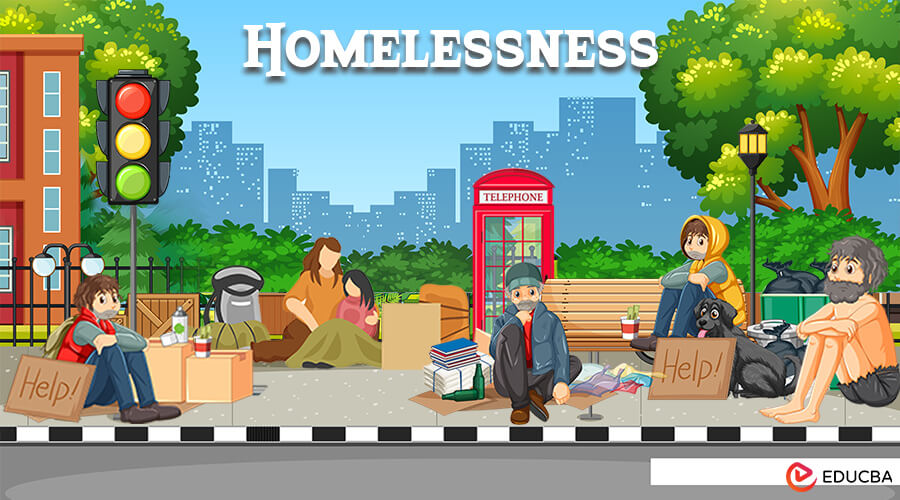 Essay on Homelessness