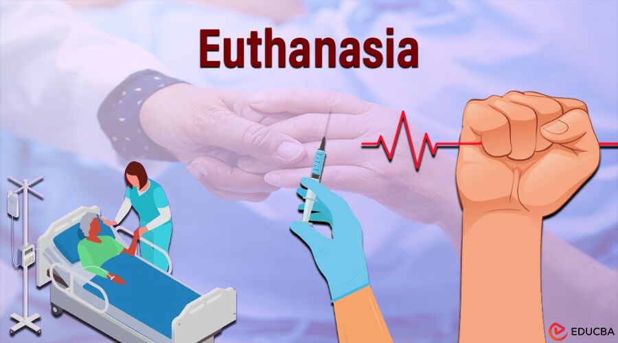 Essay on Euthanasia