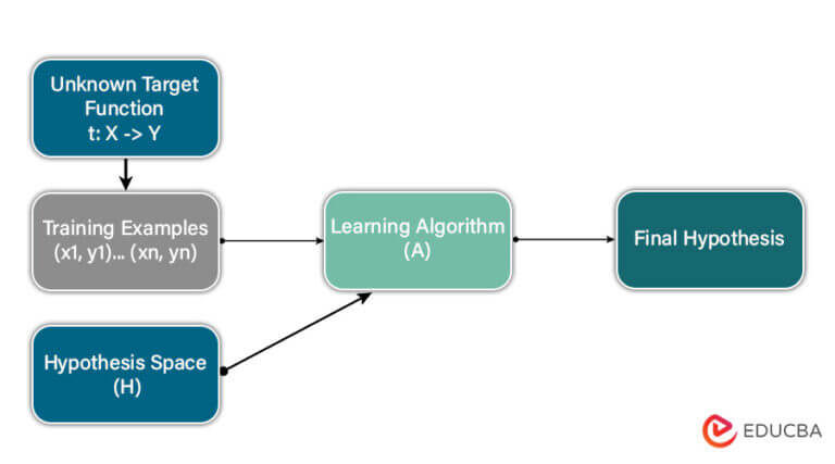 Harnessing Hypothesis for Stellar Machine Learning Outcomes