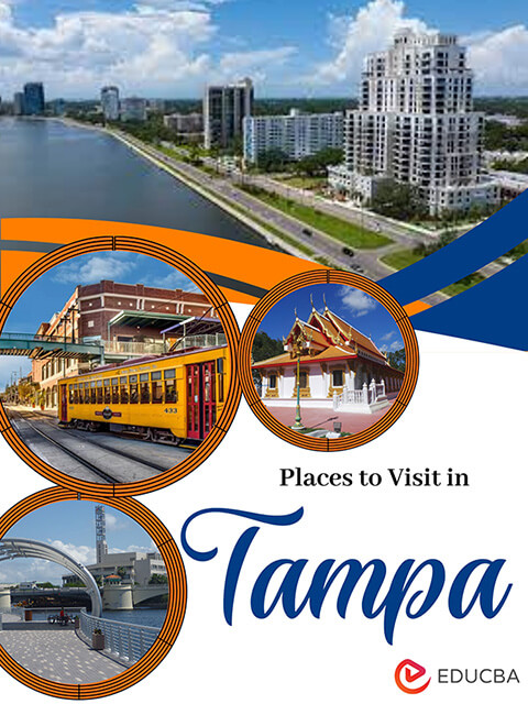 Places to Visit in Tampa