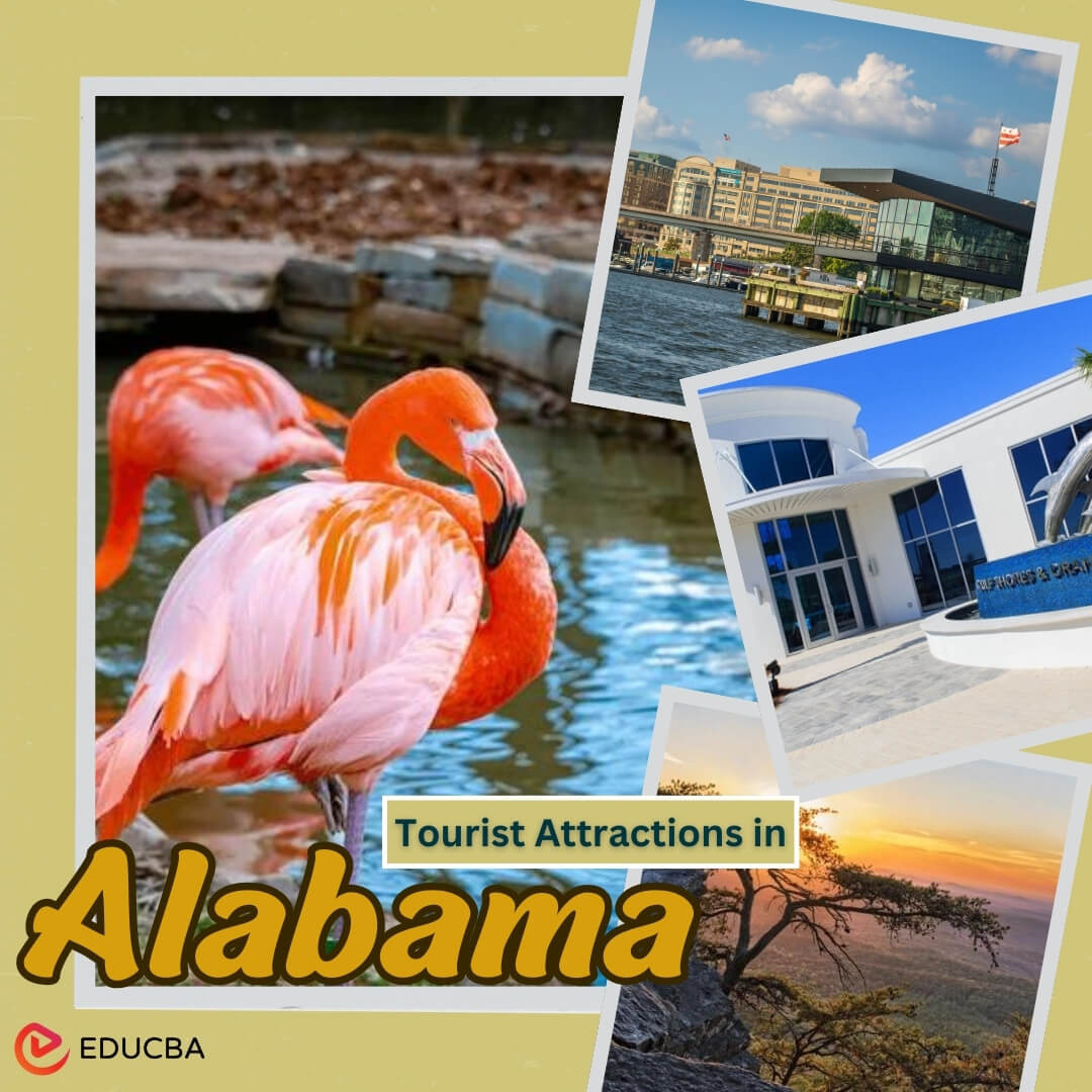 Tourist Attractions in Alabama