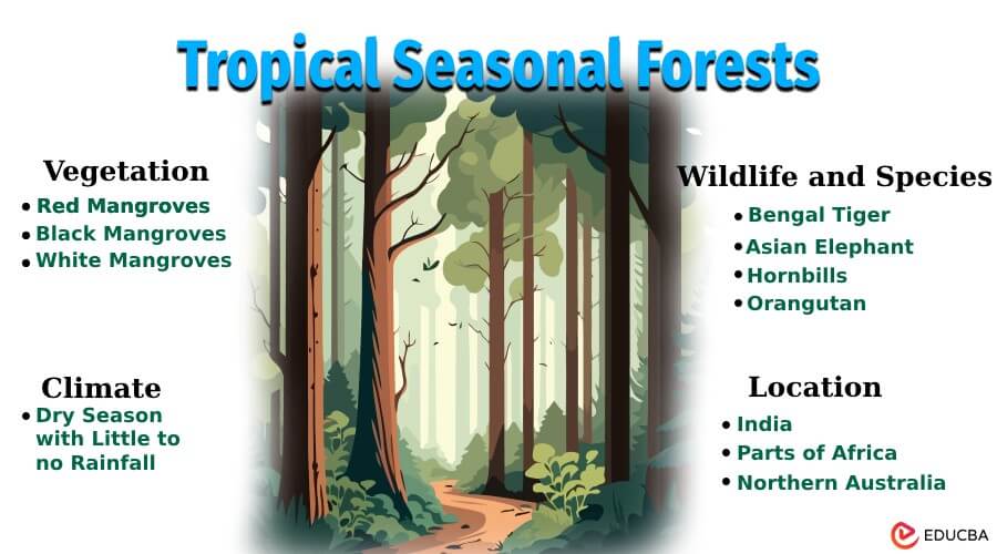 Tropical Seasonal Forests