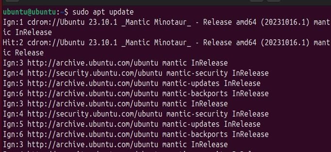 Ubuntu packages before installing 