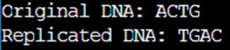 java - replicateDNA - String originalDNA