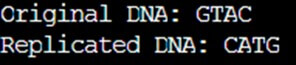 python - replicateDNA-originalDNA
