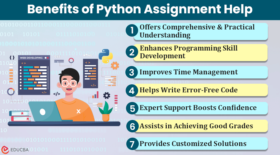 Python Assignment Help