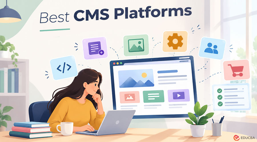 Best CMS Platforms