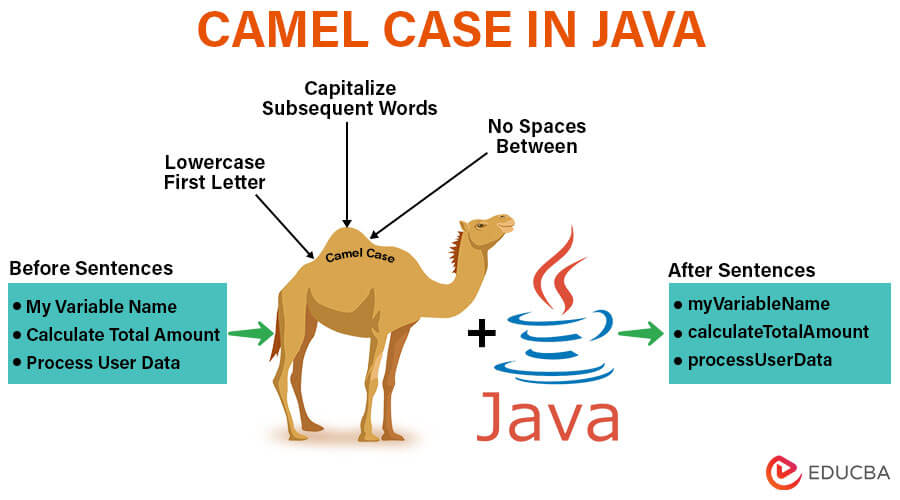 Camel case in Java