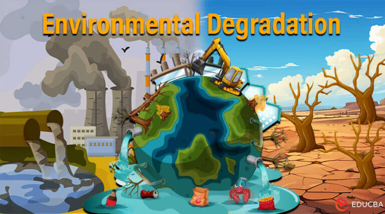 english essay on environmental degradation