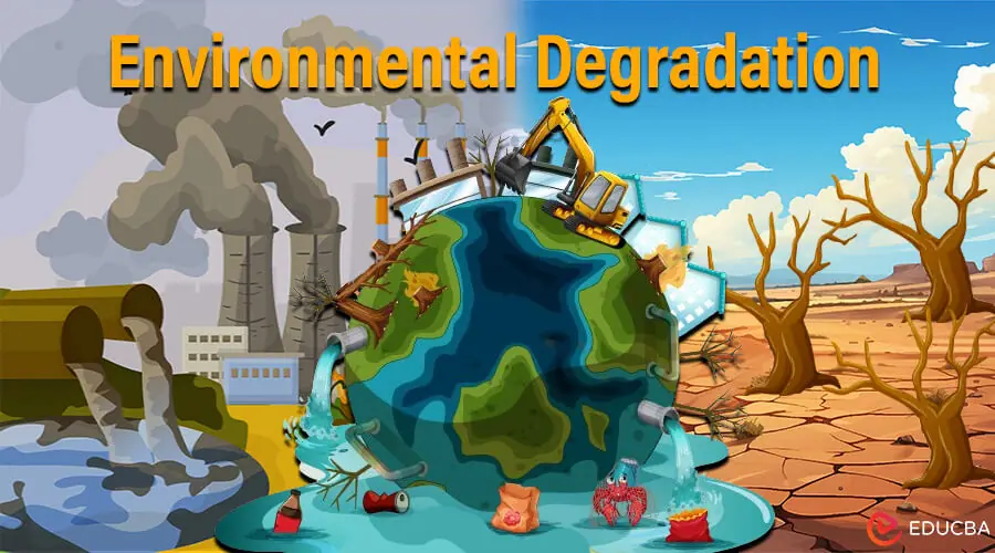 Essay on Environmental Degradation