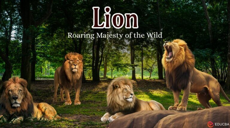 Essay on Lion: Symbol of Strength &amp; Majest (2500+ Words)