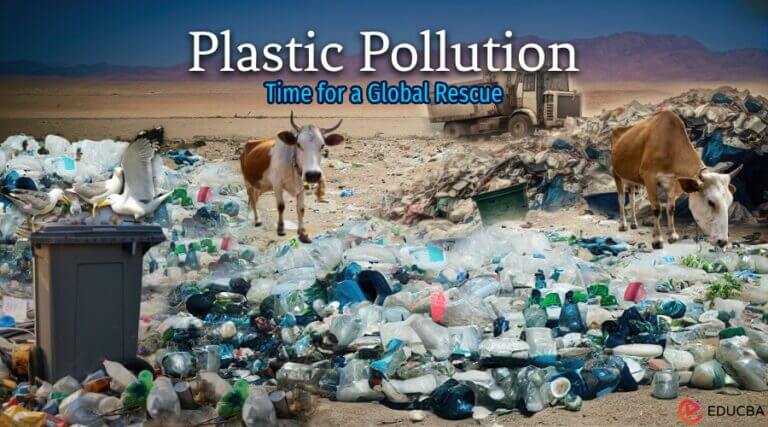 reduce plastic pollution essay