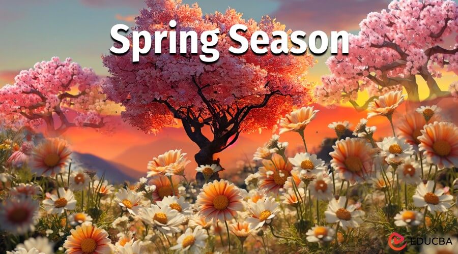 Essay on Spring Season