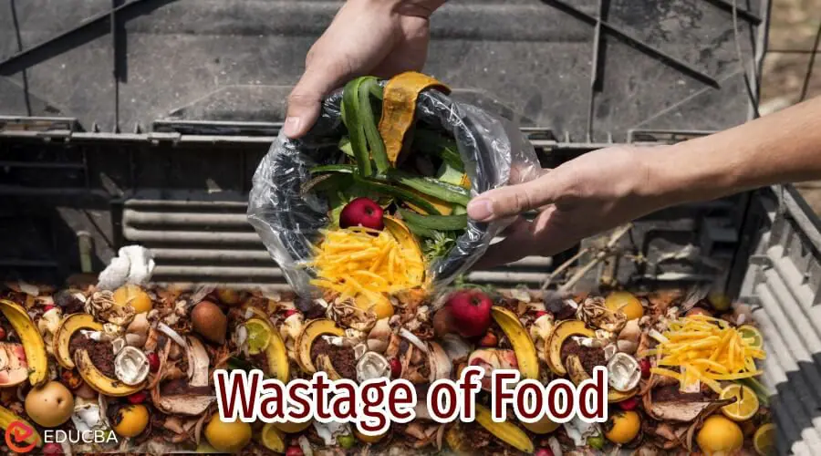 Essay on Wastage of Food