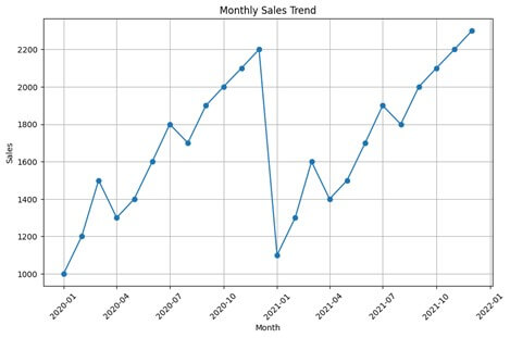 Monthly Sales Trend -output