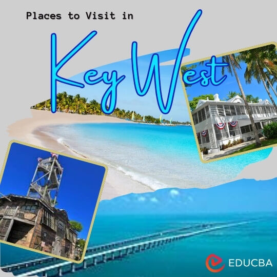 Places to Visit in Key West