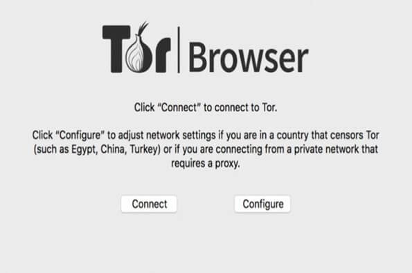 Tor Browser by clicking connect
