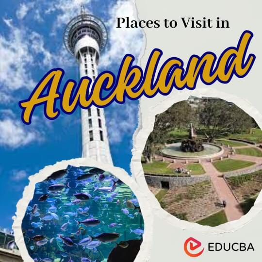 Tourist Places in Auckland
