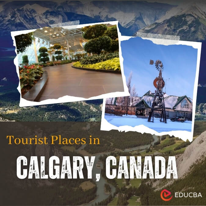 Tourist Places in Calgary