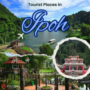 Top 18 Tourist Places in Ipoh: Must-Try Eateries for Tourists