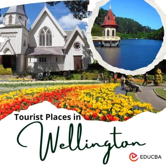 Tourist Places in Wellington