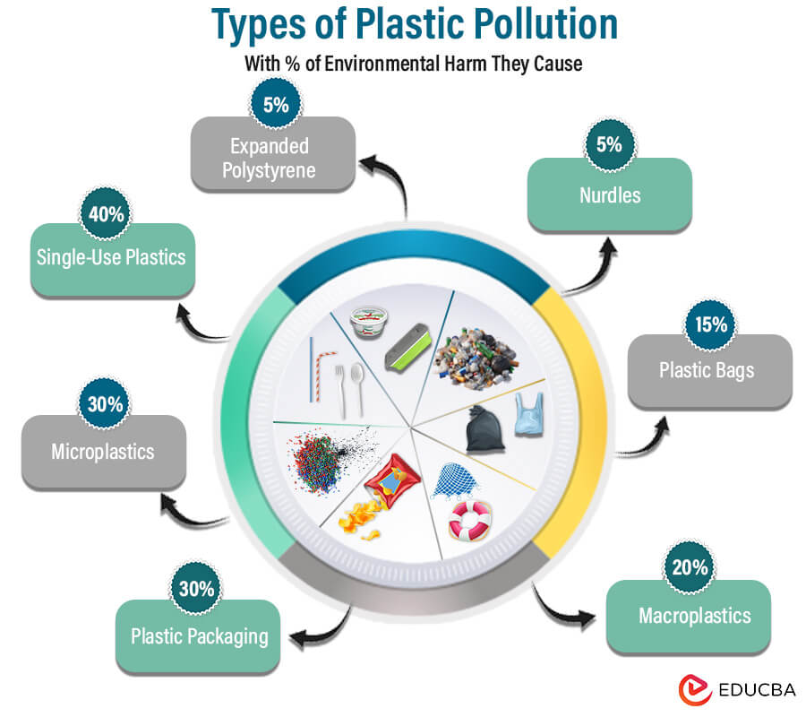 Types of Plastic Pollution