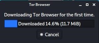 start the process of launching the browser