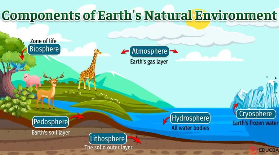 Components of Earth's Natural Environment