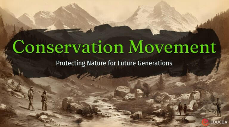 Conservation Movement: A Global Perspective | EDUCBA