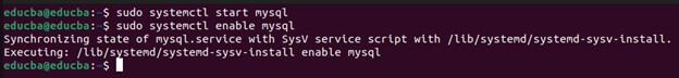 Enable MySQL services