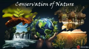 Essay on Conservation of Nature