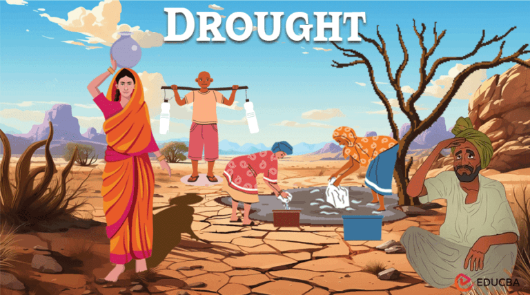 Essay on Drought (2700 Words): Types, Causes & Imacts