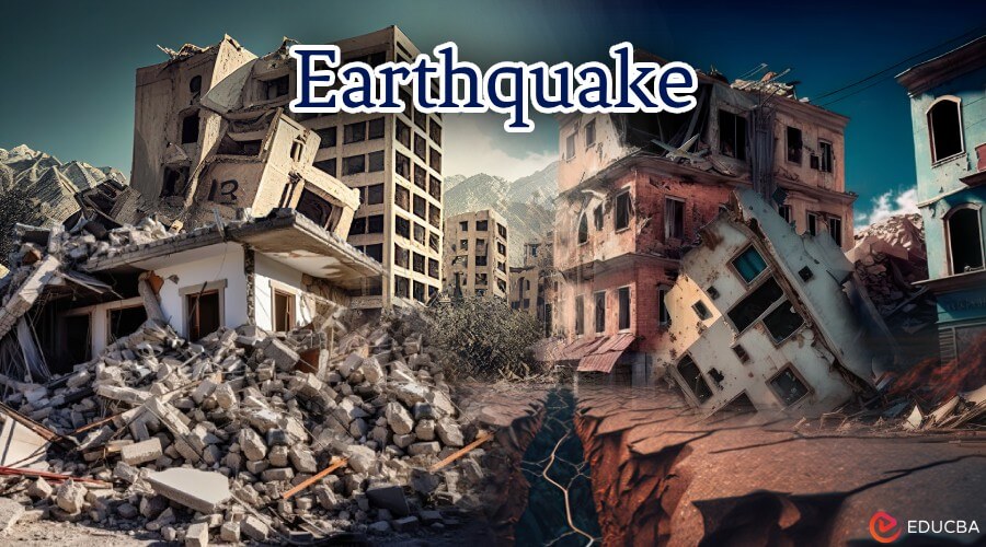 Essay on Earthquake