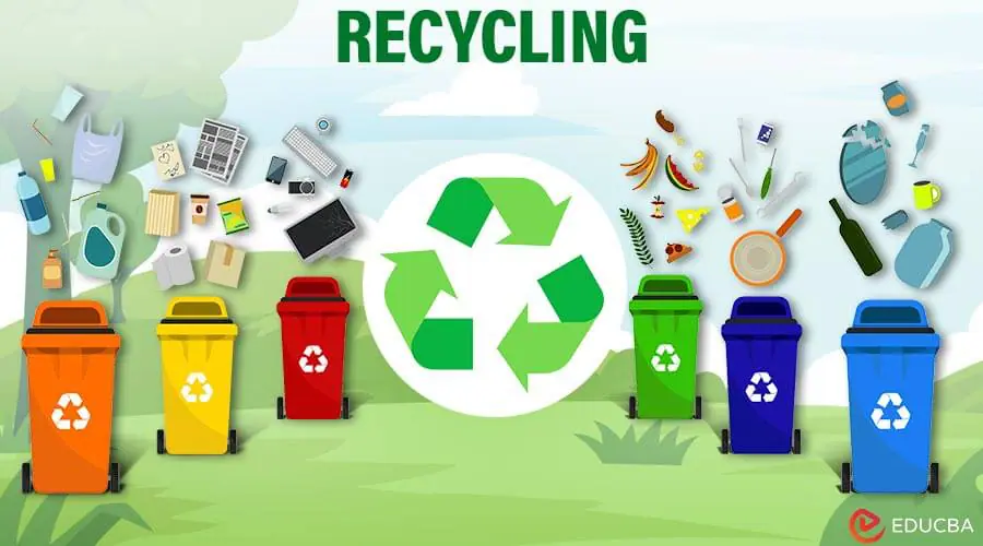 Essay on Recycling