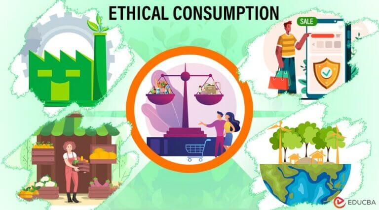 Ethical Consumption: The Practical Tips And Principles