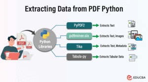 Extracting Data from PDF Python