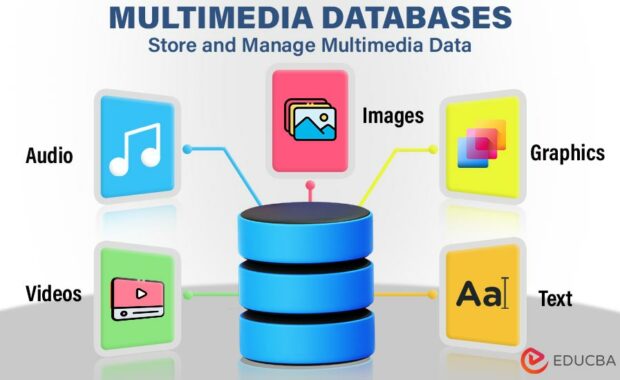 Multimedia Databases The Future Of Data Management Multimedia Databases The Future Of Data Management