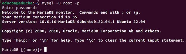 MySQL command line interface (CLI)