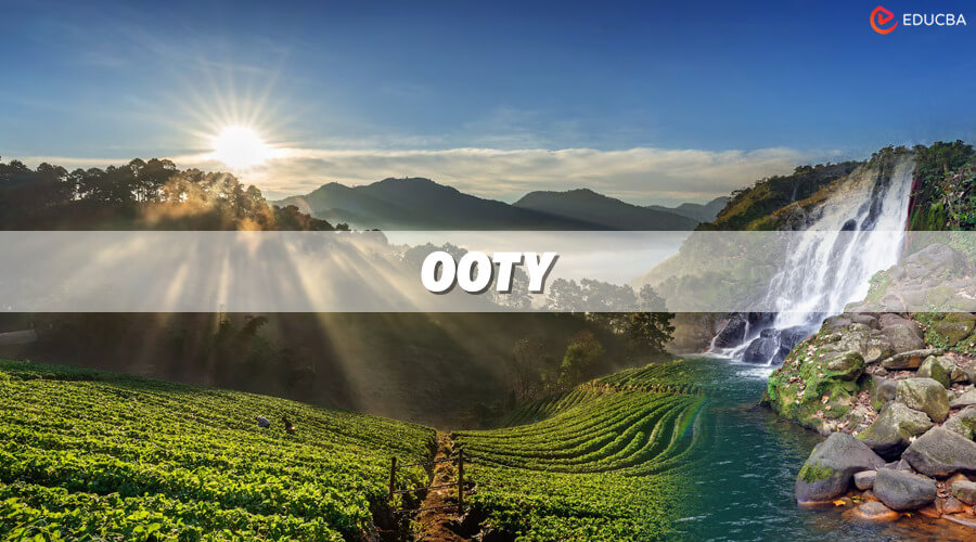 Cool Places to Visit in Summer India - Ooty, Tamil Nadu