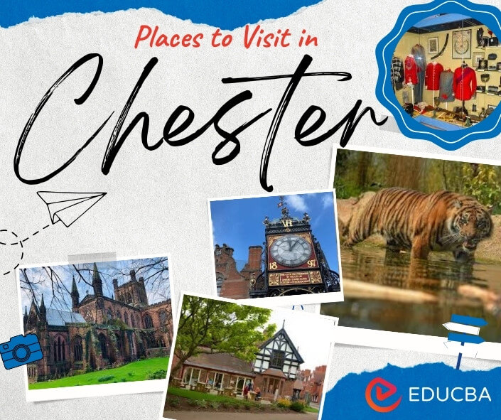 Places to Visit in Chester