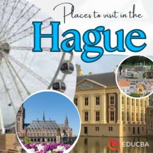 Places to Visit in the Hague