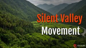 Silent Valley Movement