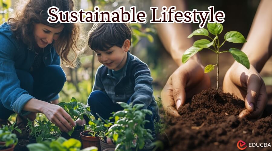 Sustainable Lifestyle
