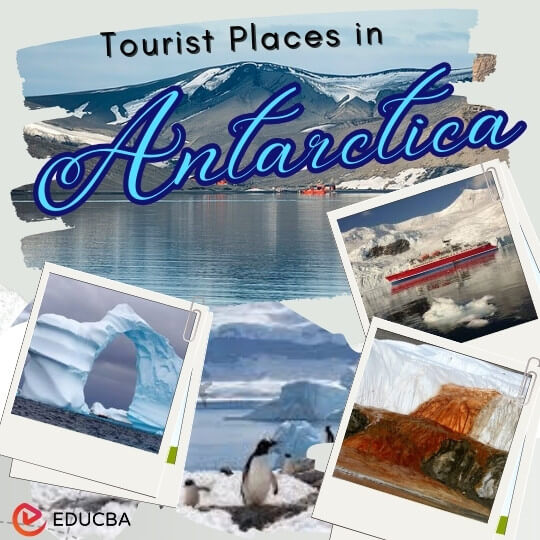 Tourist Attractions in Antarctica