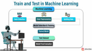Train and Test in Machine Learning