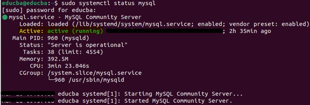 Verify MySQL Installation