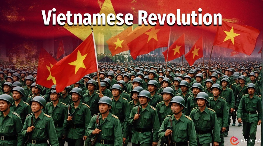 Vietnamese Revolution